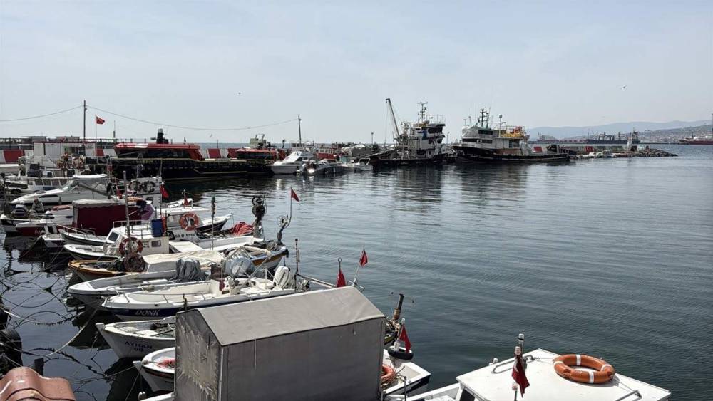 Tekirdağ'da balık&ccedil;ılar, sezondan memnun