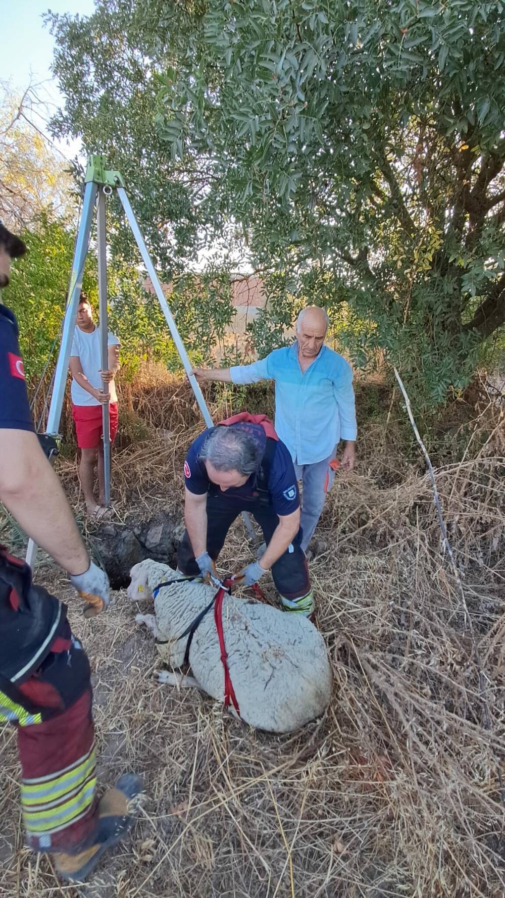 Balıkesir'de kuyuya d&uuml;şen koyunu itfaiye kurtardı