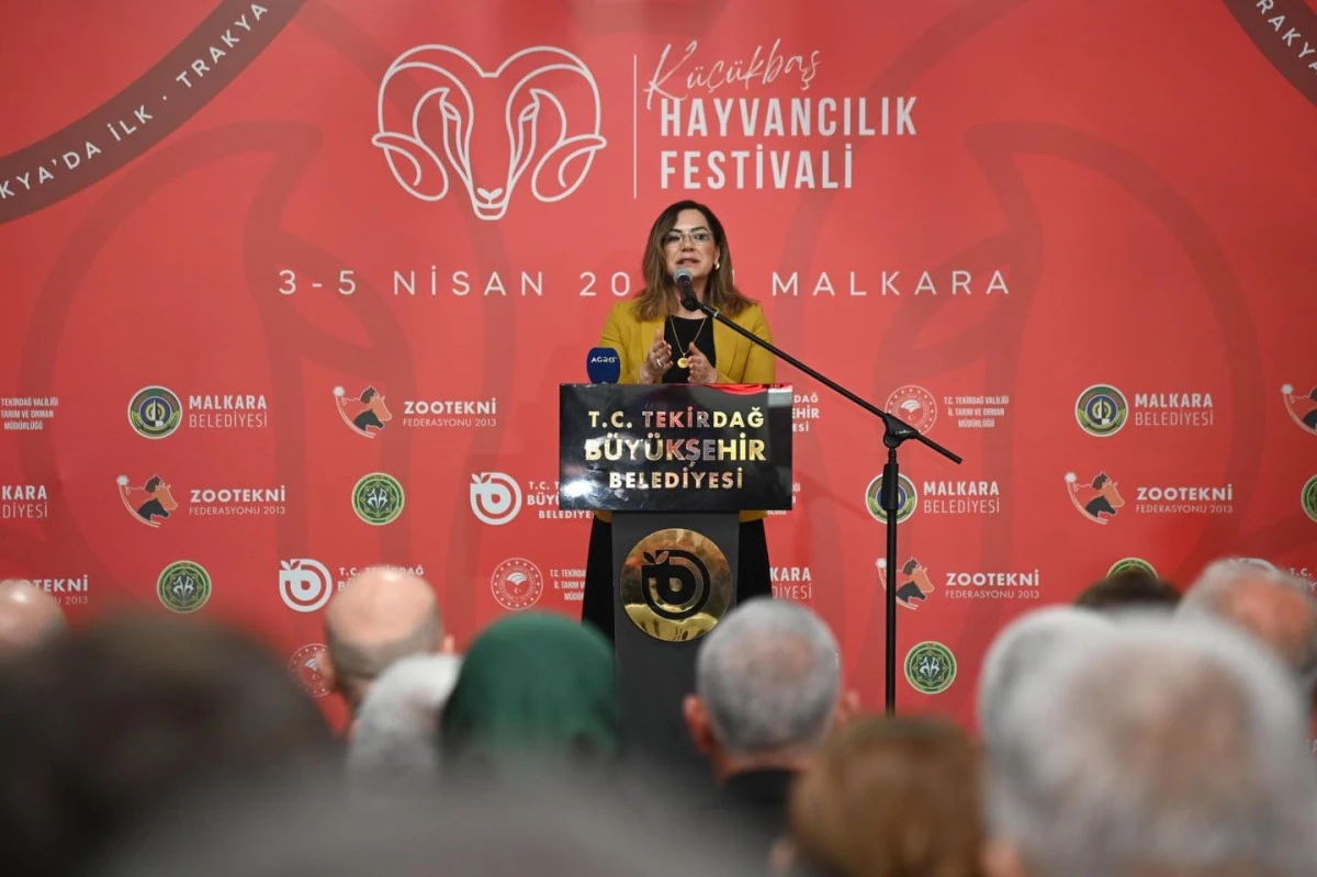 &ldquo;K&uuml;&ccedil;&uuml;kbaş Hayvancılık Festivali&rdquo;, Malkara Eski Otogar alanında kapılarını a&ccedil;tı.